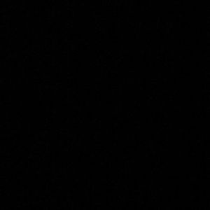 Meet your Posher, Audrey